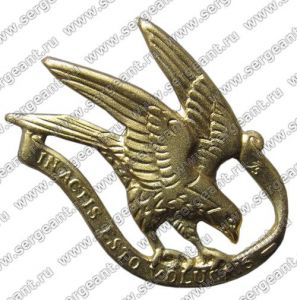 Эмблема на воротник мундира механизированного полка «Gardehusarregiment» ― Sergeant Online Store